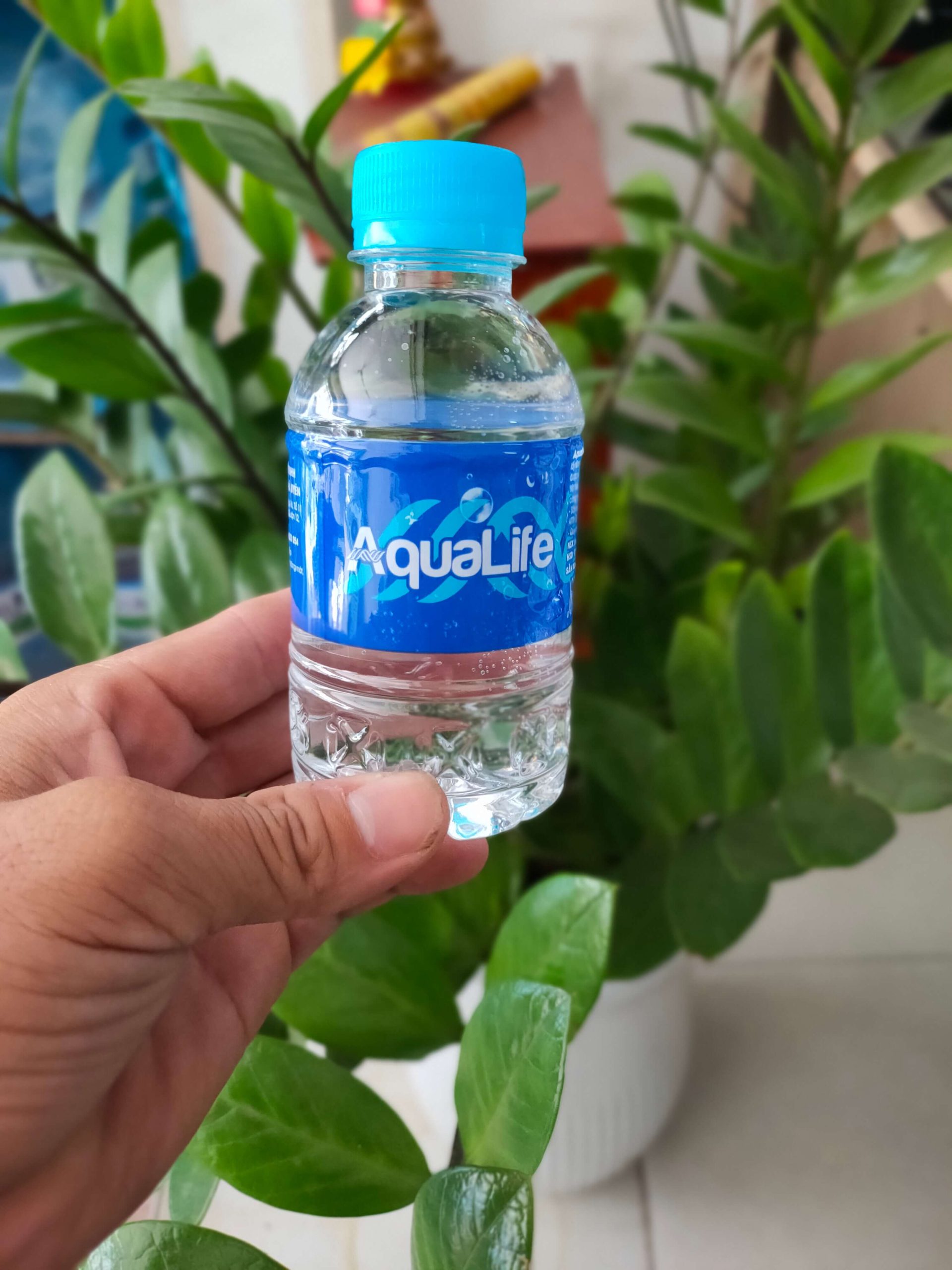 nuoc-suoi-AquaLife-5 Nước suối chai nhỏ mini 250ml giá rẻ